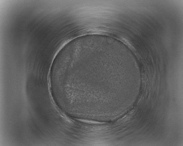 X0000062630891200601041028