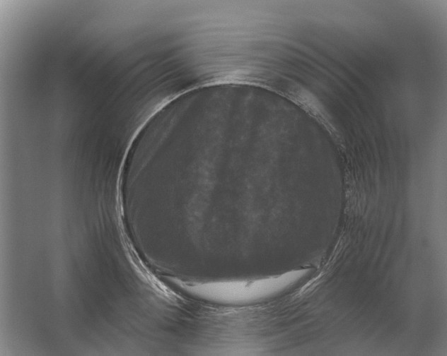 X0000062630892200601041028