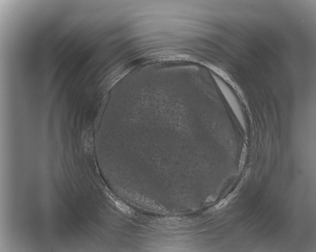 X0000062630897200601041028