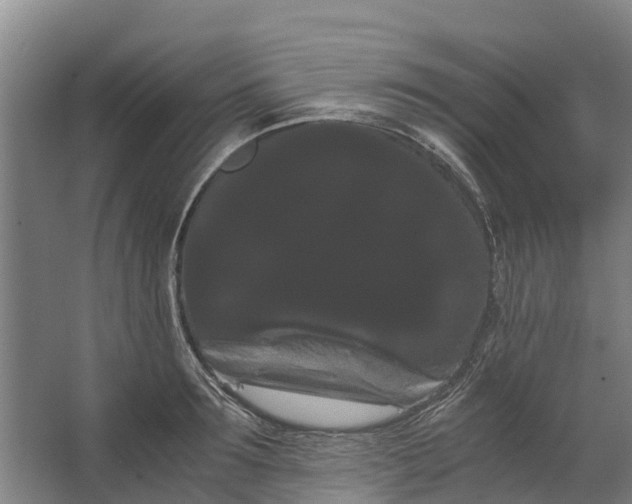 X0000062630899200601041028