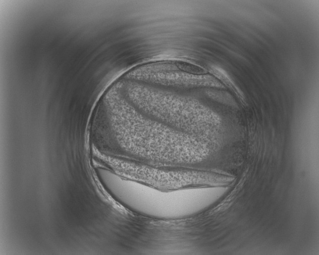 X0000062630900200601041028