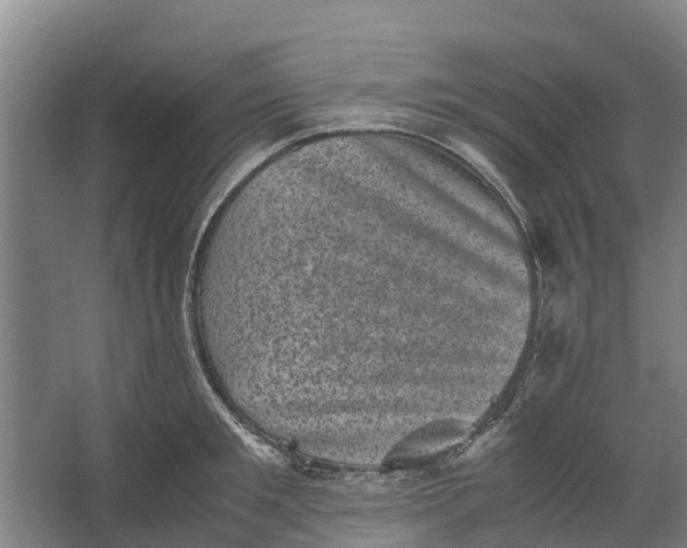 X0000062630901200601041028