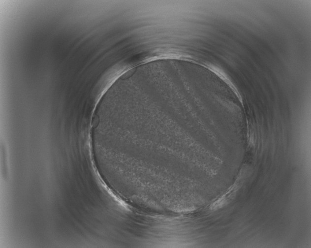 X0000062630906200601041028