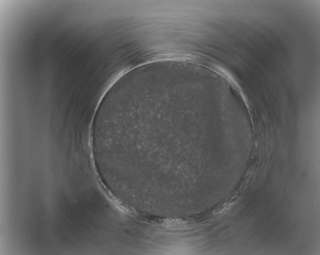 X0000062630907200601041028