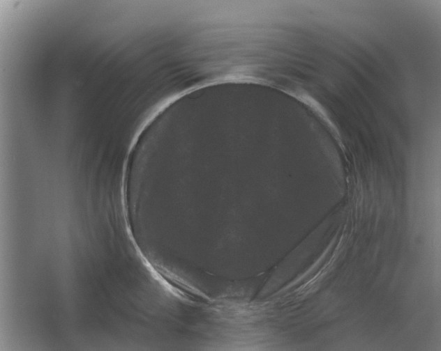 X0000062630910200601041028