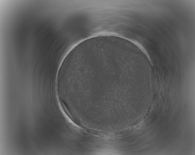 X0000062630911200601041028