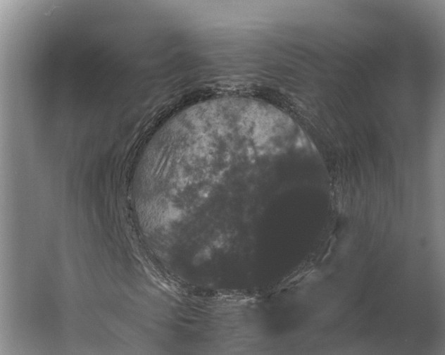 X0000062630913200601041027