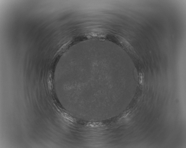 X0000062630915200601041027