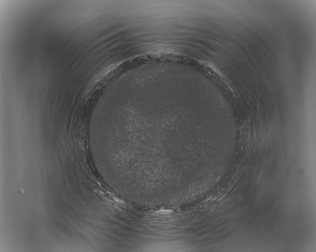 X0000062630919200601041027