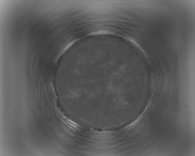 X0000062630921200601041027