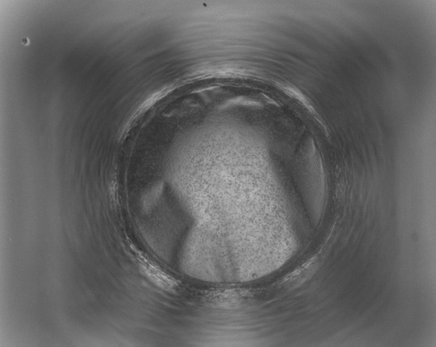 X0000062630922200601041027