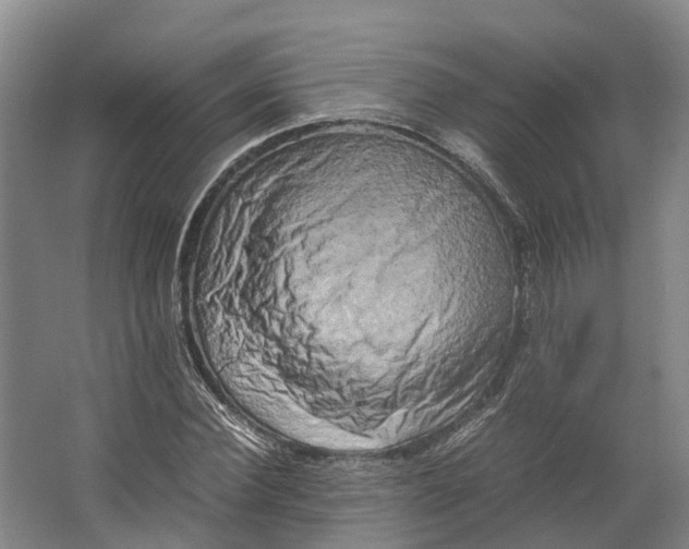 X0000062630924200601041027