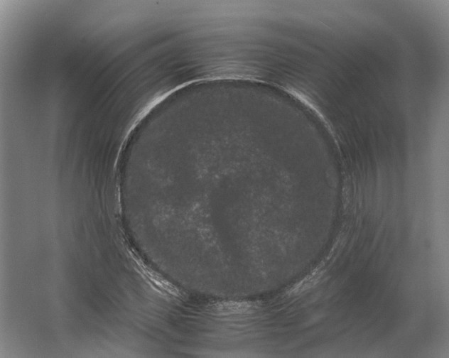 X0000062630925200601041027