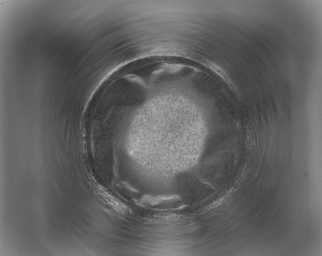 X0000062630926200601041027