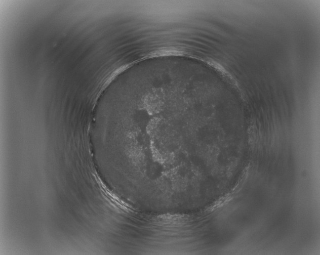 X0000062630929200601041027