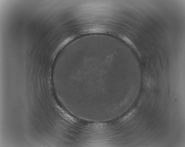 X0000062630930200601041027