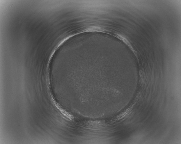 X0000062630931200601041027