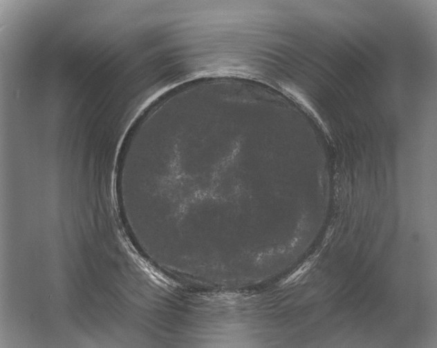 X0000062630932200601041027