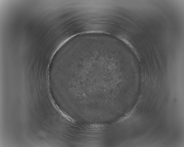 X0000062630933200601041027