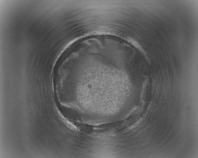 X0000062630934200601041027