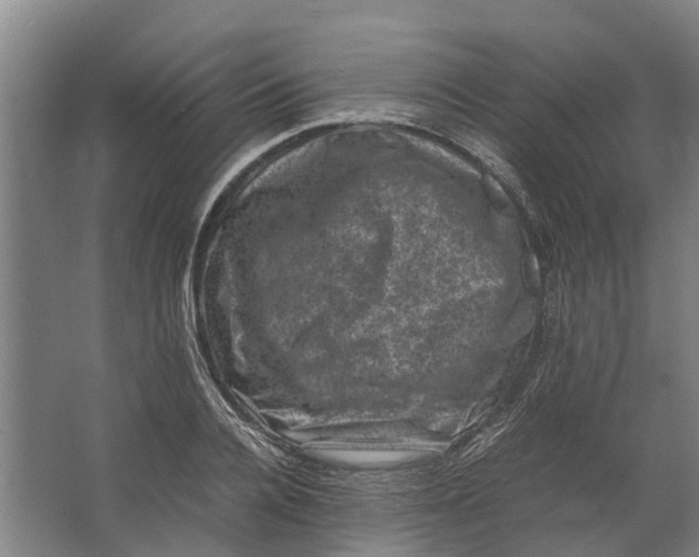 X0000062630936200601041027