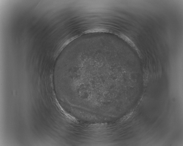 X0000062630937200601041027