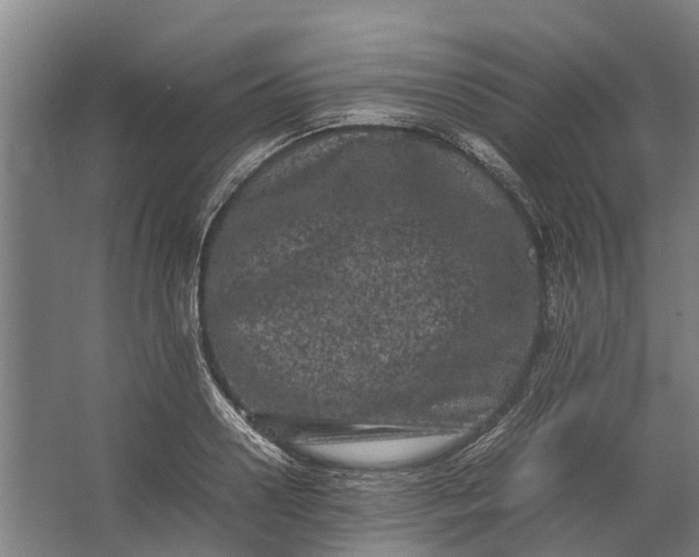 X0000062630938200601041027