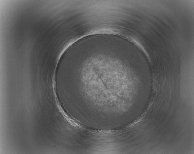 X0000062630944200601041027