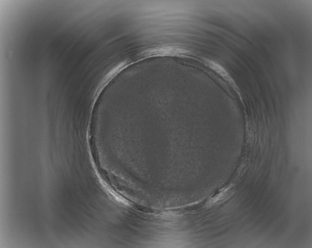 X0000062630946200601041027