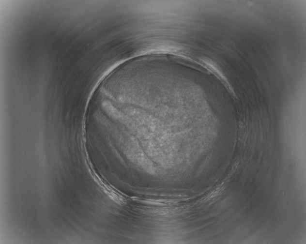 X0000062630948200601041028