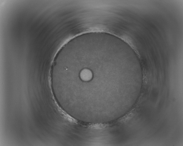 X0000062630950200601041028