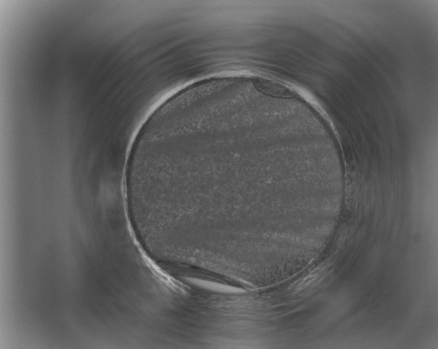 X0000062630951200601041028