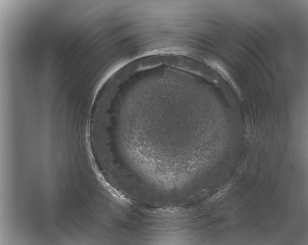 X0000062630952200601041028