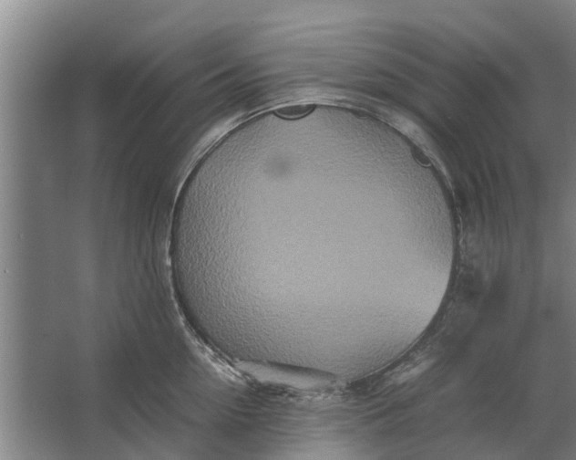 X0000062630954200601041028