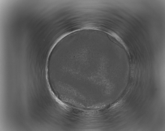 X0000062630955200601041028