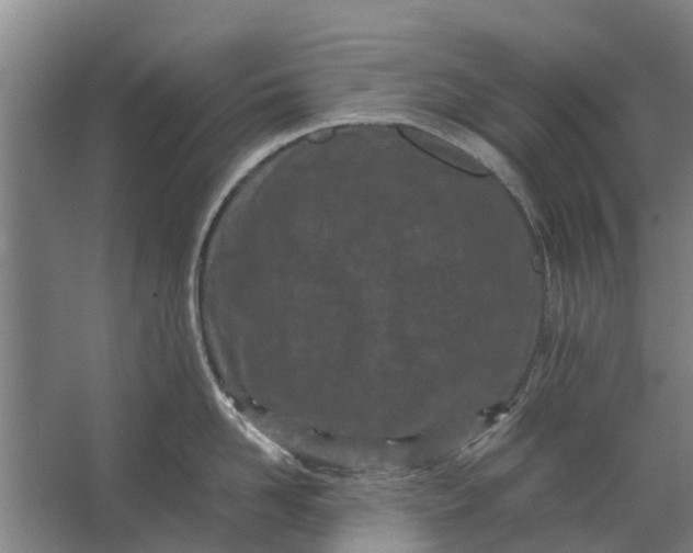 X0000062630958200601041028