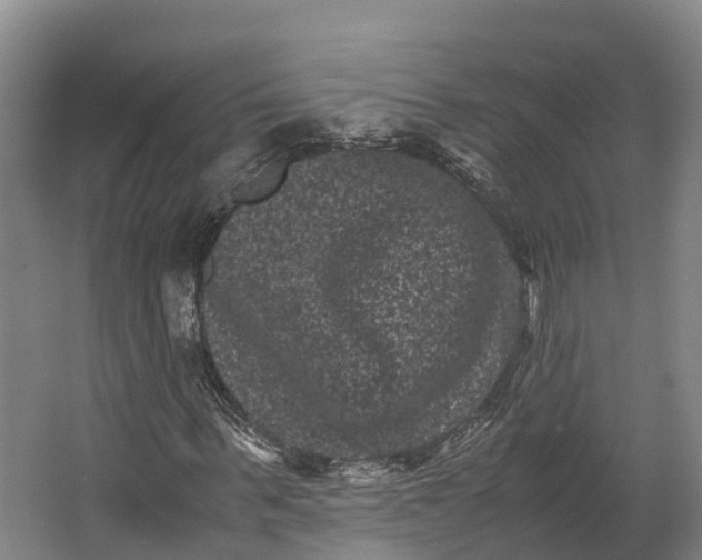 X0000062630963200601041027