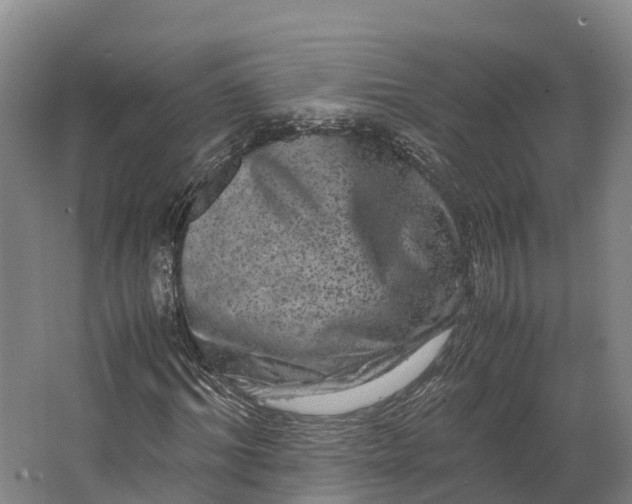 X0000062630964200601041027