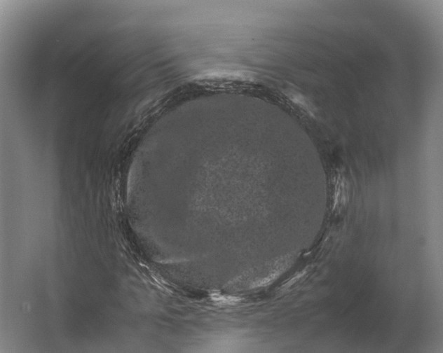 X0000062630965200601041027