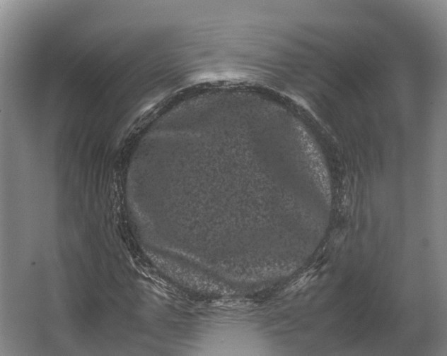 X0000062630967200601041027