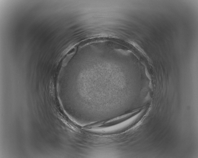 X0000062630969200601041027