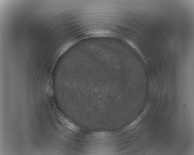 X0000062630970200601041027