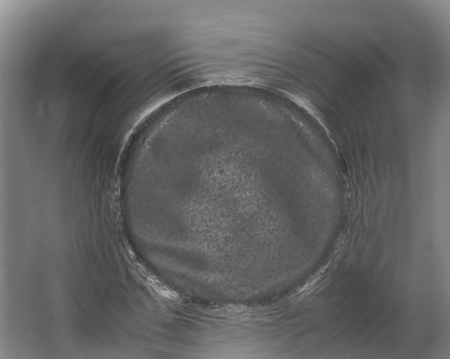 X0000062630971200601041027