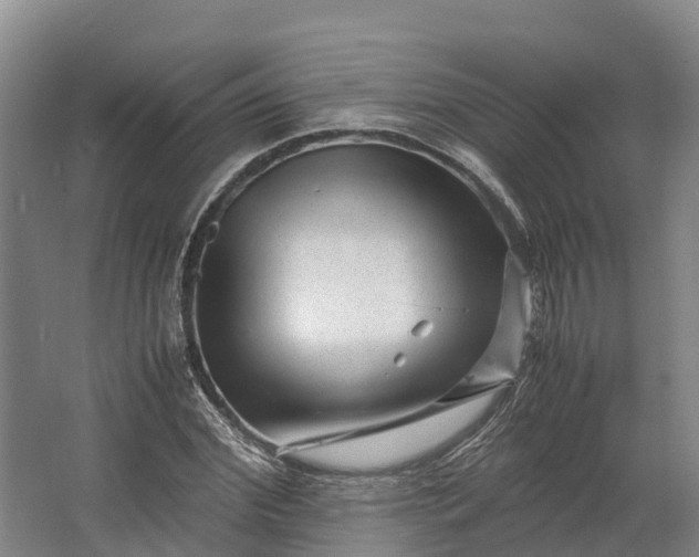 X0000062630972200601041027