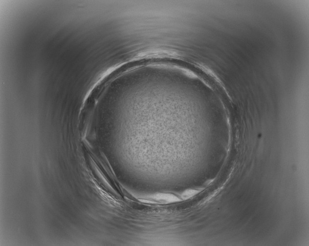 X0000062630973200601041027