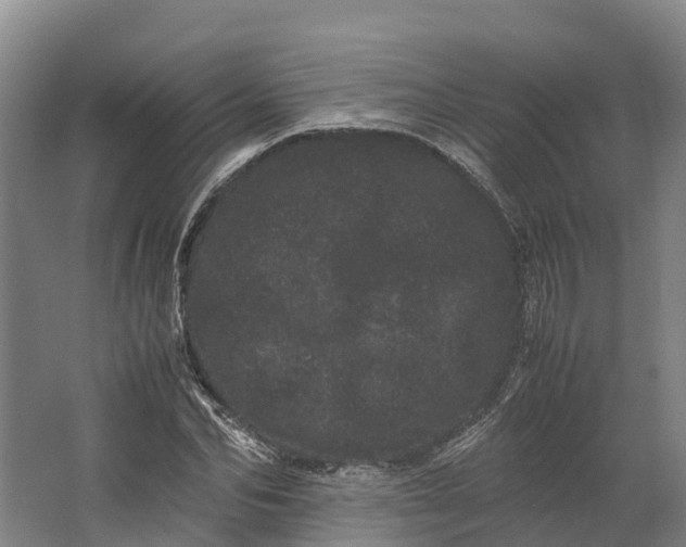 X0000062630974200601041027