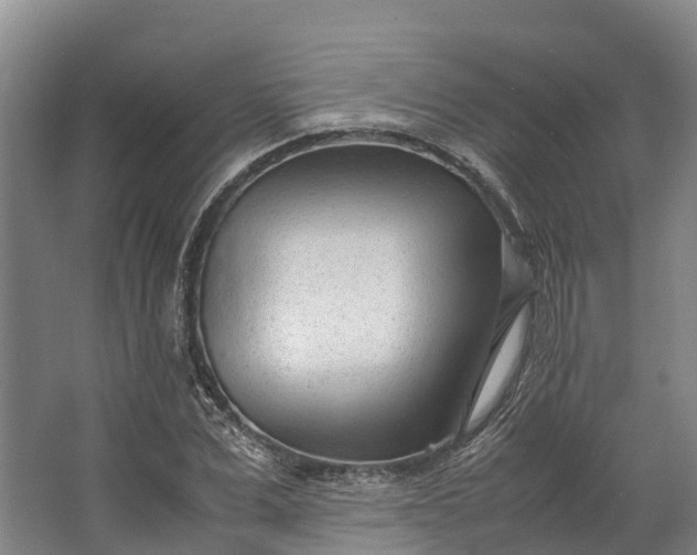 X0000062630975200601041027