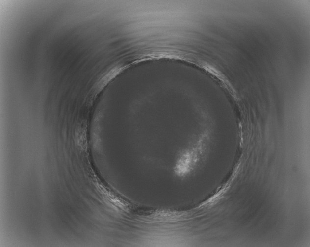 X0000062630977200601041027