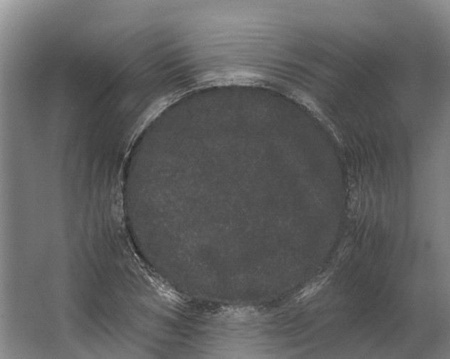 X0000062630978200601041027