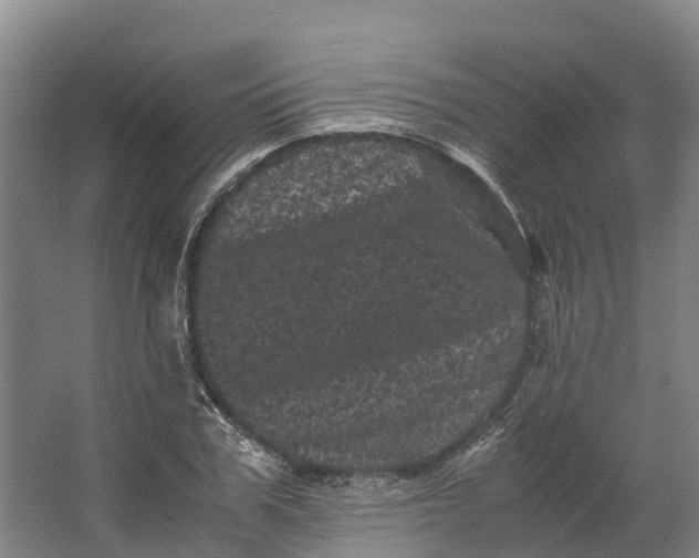 X0000062630979200601041027